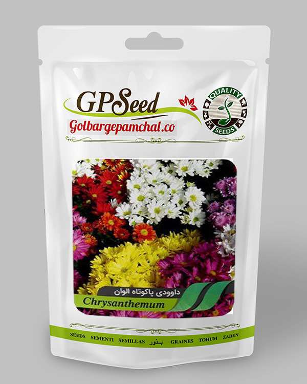 بذر گل داودی پاکوتاه الوان